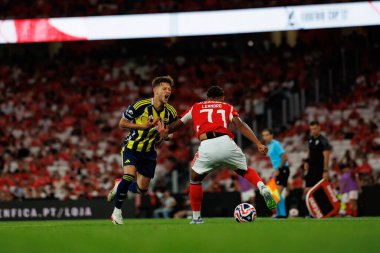 Sebastian Szymanski ve Leandro Barreiro, Eusebio Kupası maçında SL Benfica ve Fenerbahçe SK (Maciej Rogowski)