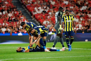 Fenerbahçe oyuncuları Eusebio Kupası maçında SL Benfica ve Fenerbahçe SK (Maciej Rogowski)