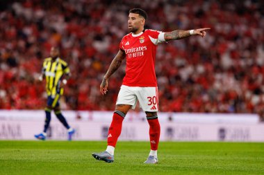 Nicolas Otamendi, SL Benfica ile Fenerbahçe SK (Maciej Rogowski) arasında oynanan Eusebio Cup maçında görüldü.)