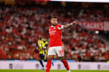 Nicolas Otamendi, SL Benfica ile Fenerbahçe SK (Maciej Rogowski) arasında oynanan Eusebio Cup maçında görüldü.)