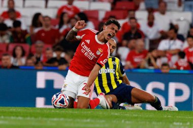 Richard Rios ve Sofya Amrabat Eusebio Kupası maçında SL Benfica ve Fenerbahçe SK (Maciej Rogowski)