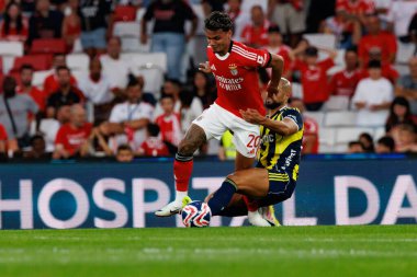 Richard Rios ve Sofya Amrabat Eusebio Kupası maçında SL Benfica ve Fenerbahçe SK (Maciej Rogowski)