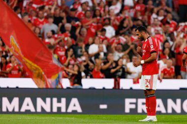 Vangelis Pavlidis, SL Benfica ve Fenerbahçe SK (Maciej Rogowski) arasında oynanan Eusebio Cup maçında gol üstüne gol atarken görüldü)