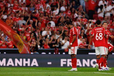 Vangelis Pavlidis, SL Benfica ve Fenerbahçe SK (Maciej Rogowski) arasında oynanan Eusebio Cup maçında gol üstüne gol atarken görüldü)