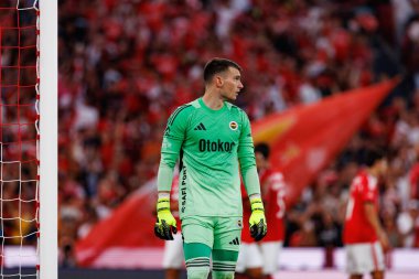 Dominik Livakoviç, SL Benfica ile Fenerbahçe SK (Maciej Rogowski) arasında oynanan Eusebio Cup maçında görüldü.)