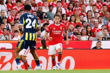 Amar Dediç, SL Benfica ile Fenerbahçe SK (Maciej Rogowski) arasında oynanan Eusebio Cup maçı sırasında görüldü.)