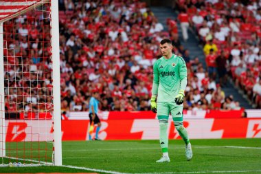Dominik Livakoviç, SL Benfica ile Fenerbahçe SK (Maciej Rogowski) arasında oynanan Eusebio Cup maçında görüldü.)