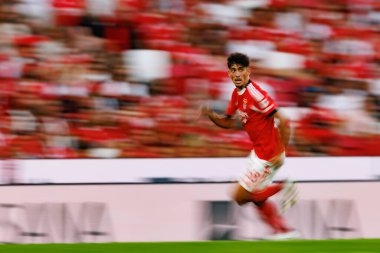 Joao Veloso Eusebio Kupası maçında SL Benfica ve Fenerbahçe SK (Maciej Rogowski)