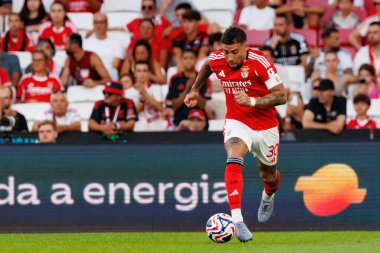 Nicolas Otamendi, SL Benfica ile Fenerbahçe SK (Maciej Rogowski) arasında oynanan Eusebio Cup maçında görüldü.)