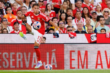 Amar Dediç, SL Benfica ile Fenerbahçe SK (Maciej Rogowski) arasında oynanan Eusebio Cup maçı sırasında görüldü.)