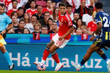 Richard Rios Eusebio Kupası maçında SL Benfica ve Fenerbahçe SK (Maciej Rogowski)