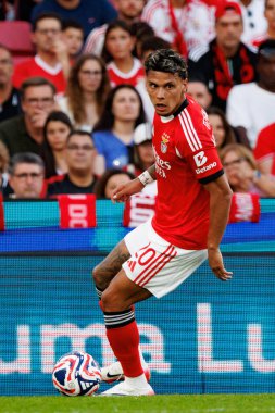 Richard Rios Eusebio Kupası maçında SL Benfica ve Fenerbahçe SK (Maciej Rogowski)