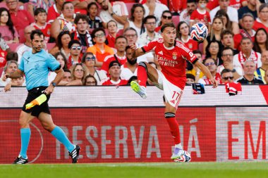 Amar Dediç, SL Benfica ile Fenerbahçe SK (Maciej Rogowski) arasında oynanan Eusebio Cup maçı sırasında görüldü.)