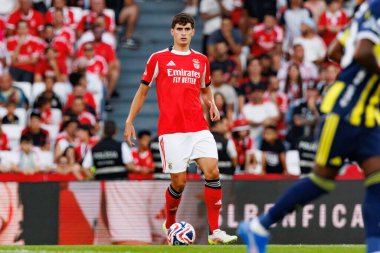 Antonio Silva Eusebio Kupası maçında SL Benfica ve Fenerbahçe SK (Maciej Rogowski)