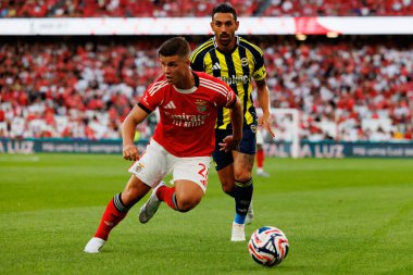 Irfan Can Kahveci ve Samuel Dahl, Eusebio Cup maçında SL Benfica ve Fenerbahçe SK (Maciej Rogowski)