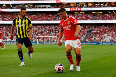 Irfan Can Kahveci ve Samuel Dahl, Eusebio Cup maçında SL Benfica ve Fenerbahçe SK (Maciej Rogowski)