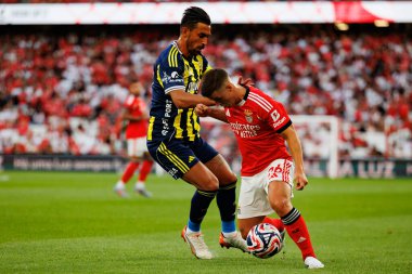 Irfan Can Kahveci ve Samuel Dahl, Eusebio Cup maçında SL Benfica ve Fenerbahçe SK (Maciej Rogowski)