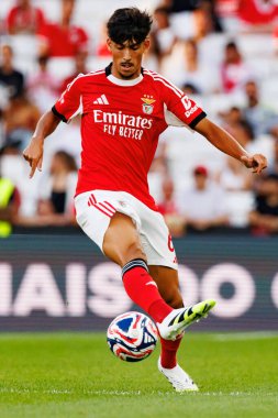 Joao Veloso Eusebio Kupası maçında SL Benfica ve Fenerbahçe SK (Maciej Rogowski)