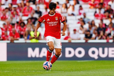 Joao Veloso Eusebio Kupası maçında SL Benfica ve Fenerbahçe SK (Maciej Rogowski)