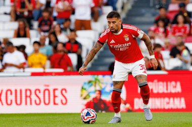 Nicolas Otamendi, SL Benfica ile Fenerbahçe SK (Maciej Rogowski) arasında oynanan Eusebio Cup maçında görüldü.)