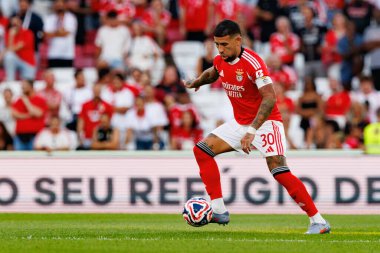Nicolas Otamendi, SL Benfica ile Fenerbahçe SK (Maciej Rogowski) arasında oynanan Eusebio Cup maçında görüldü.)