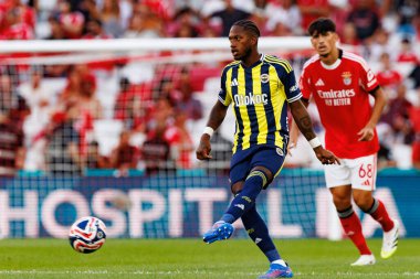 Fred, Eusebio Cup maçında SL Benfica ve Fenerbahçe SK (Maciej Rogowski)