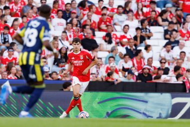 Antonio Silva Eusebio Kupası maçında SL Benfica ve Fenerbahçe SK (Maciej Rogowski)