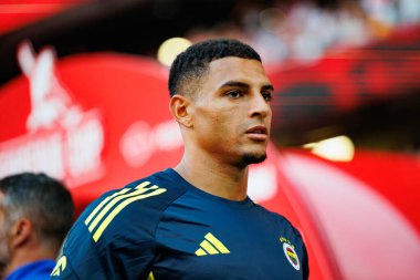 Diego Carlos Eusebio Kupası maçında SL Benfica ve Fenerbahçe SK (Maciej Rogowski)