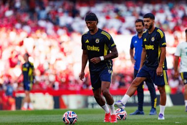 Archie Brown Eusebio Kupası maçında SL Benfica ve Fenerbahçe SK (Maciej Rogowski)