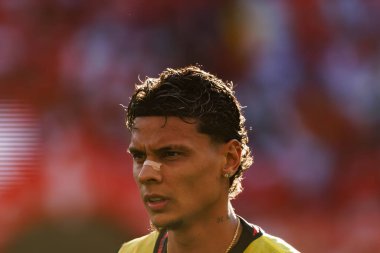 Richard Rios Eusebio Kupası maçında SL Benfica ve Fenerbahçe SK (Maciej Rogowski)