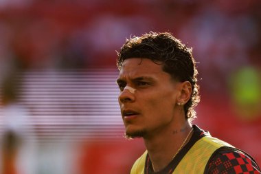 Richard Rios Eusebio Kupası maçında SL Benfica ve Fenerbahçe SK (Maciej Rogowski)