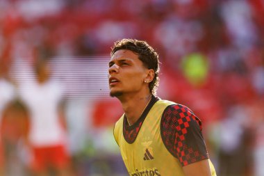 Richard Rios Eusebio Kupası maçında SL Benfica ve Fenerbahçe SK (Maciej Rogowski)