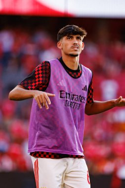 Joao Veloso Eusebio Kupası maçında SL Benfica ve Fenerbahçe SK (Maciej Rogowski)