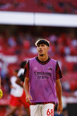 Joao Veloso Eusebio Kupası maçında SL Benfica ve Fenerbahçe SK (Maciej Rogowski)