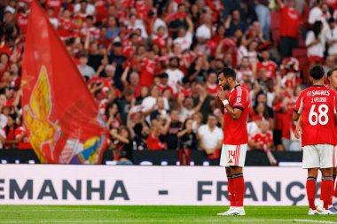 Vangelis Pavlidis, SL Benfica ve Fenerbahçe SK (Maciej Rogowski) arasında oynanan Eusebio Cup maçında gol üstüne gol atarken görüldü)