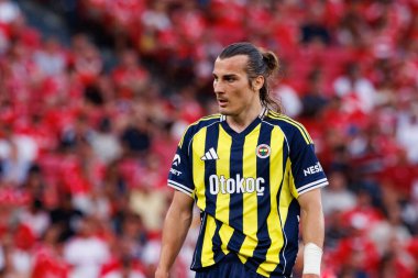 SL Benfica ve Fenerbahçe SK (Maciej Rogowski) arasında oynanan Eusebio Cup maçında Caglar Soyuncu görüldü)