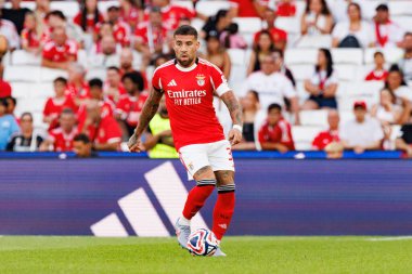 Nicolas Otamendi, SL Benfica ile Fenerbahçe SK (Maciej Rogowski) arasında oynanan Eusebio Cup maçında görüldü.)
