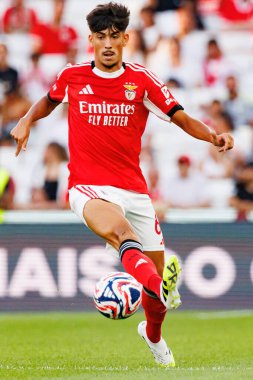 Joao Veloso Eusebio Kupası maçında SL Benfica ve Fenerbahçe SK (Maciej Rogowski)