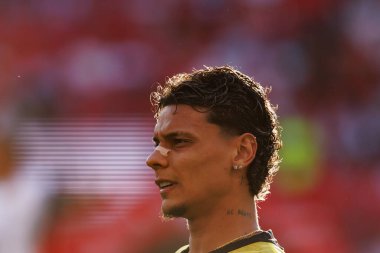 Richard Rios Eusebio Kupası maçında SL Benfica ve Fenerbahçe SK (Maciej Rogowski)