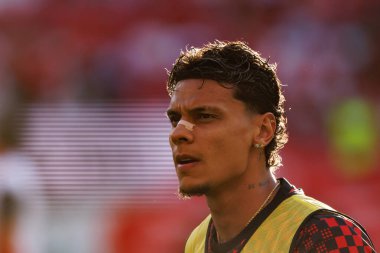 Richard Rios Eusebio Kupası maçında SL Benfica ve Fenerbahçe SK (Maciej Rogowski)