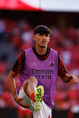 Joao Veloso Eusebio Kupası maçında SL Benfica ve Fenerbahçe SK (Maciej Rogowski)