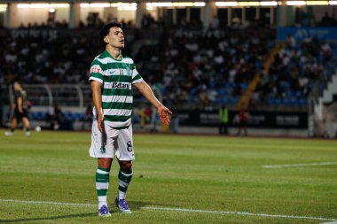 Pedro Goncalves, Liga Portekiz maçında Estadio Municipal Rio Maior 'daki Casa Pia ve Sporting CP takımları arasında Francisco Trincao' dan gol üstüne gol atarken görüldü (Maciej Rogowski)