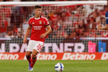 Samuel Dahl, Şampiyonlar Ligi üçüncü tur eleme maçında SL Benfica ve OGC Nice (Maciej Rogowski)