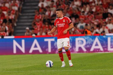 Franjo İvanoviç Şampiyonlar Ligi üçüncü tur eleme maçında SL Benfica ve OGC Nice (Maciej Rogowski)