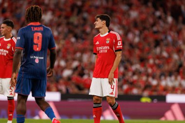 Antonio Silva Şampiyonlar Ligi üçüncü tur eleme maçında SL Benfica ve OGC Nice (Maciej Rogowski)