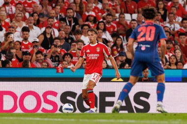 Amar Dediç Şampiyonlar Ligi üçüncü tur eleme maçında SL Benfica ve OGC Nice (Maciej Rogowski)