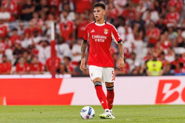 Enzo Barrenechea Şampiyonlar Ligi üçüncü tur eleme maçında SL Benfica ve OGC Nice (Maciej Rogowski) arasında görüldü.)