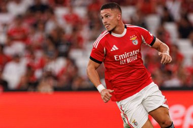 Franjo İvanoviç Şampiyonlar Ligi üçüncü tur eleme maçında SL Benfica ve OGC Nice (Maciej Rogowski)