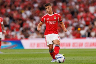 Samuel Dahl, Şampiyonlar Ligi üçüncü tur eleme maçında SL Benfica ve OGC Nice (Maciej Rogowski)