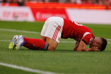 Samuel Dahl, Şampiyonlar Ligi üçüncü tur eleme maçında SL Benfica ve OGC Nice (Maciej Rogowski)